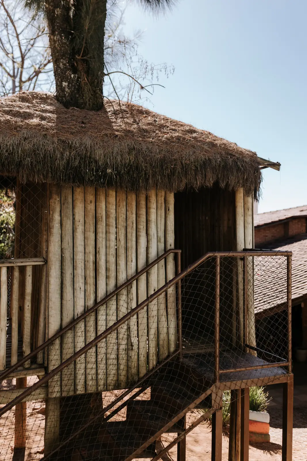 Casa na árvore de bambu na área externa da escola