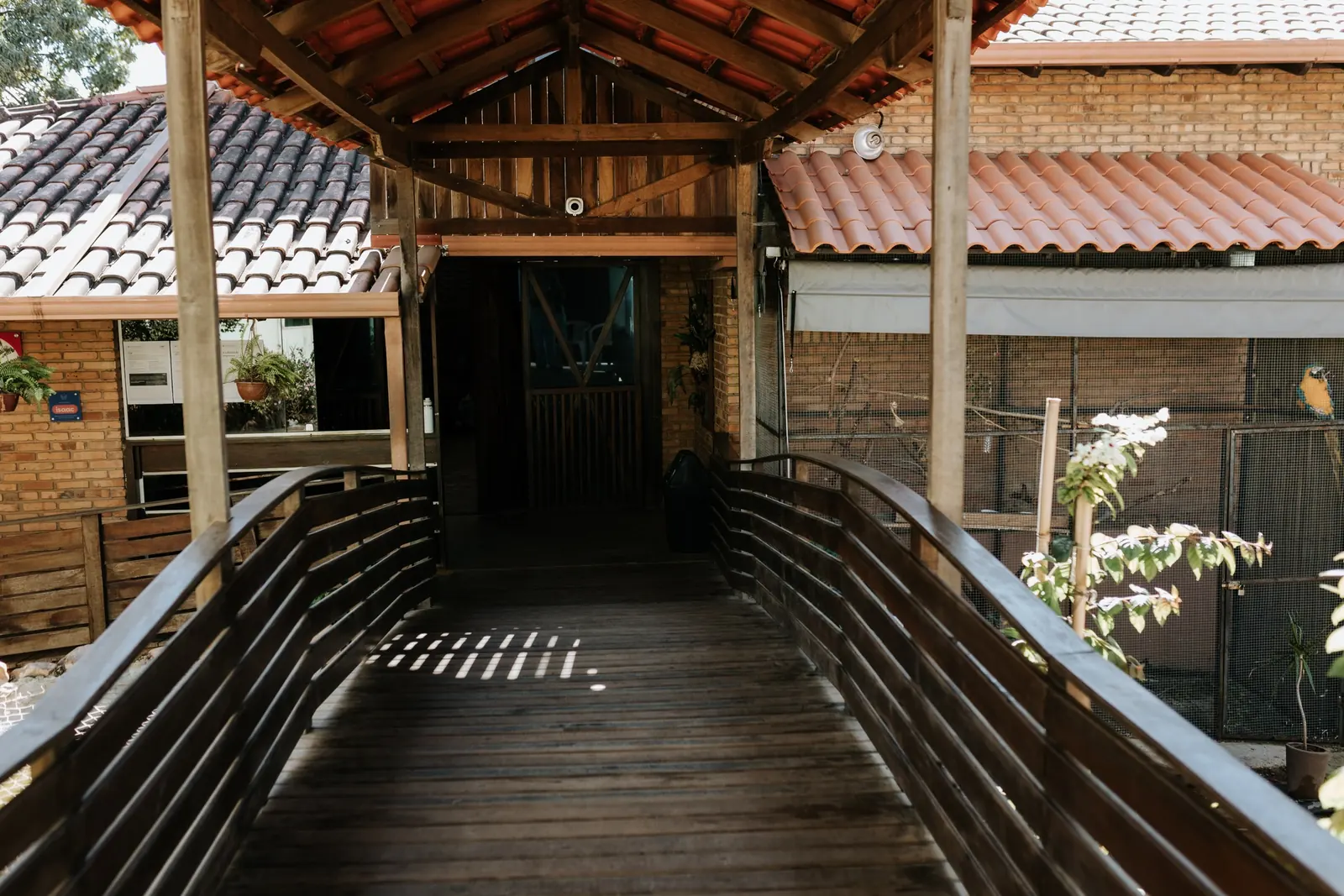 Passarela de madeira entre as salas do Sítio Escola